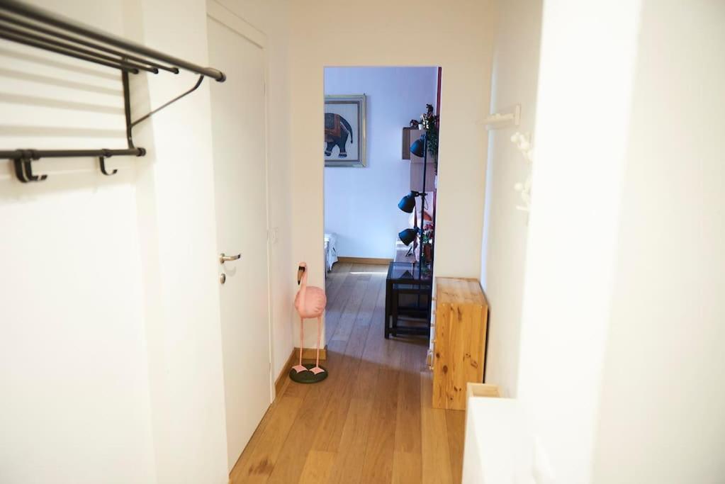 Ampola “flamingo” Apartamento Milán